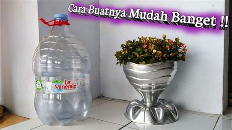 Jual pohon katak original harga termurah november 2023