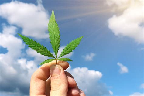 Aphria Inc (NYSE:APHA) Canadian medical marijuana producer Aphria became the first pure-play cannabis company to trade on the NYSE. The stock debuted on the major exchange on Nov. 2, 2018. Prior .... 