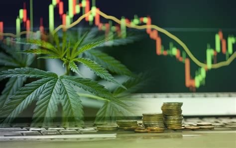20 តុលា 2022 ... Taking stock of progress: Cannabis legalization and regulation in Canada ... News. https://toronto.ctvnews.ca/cops-seize-more-than-4-7m-of ...