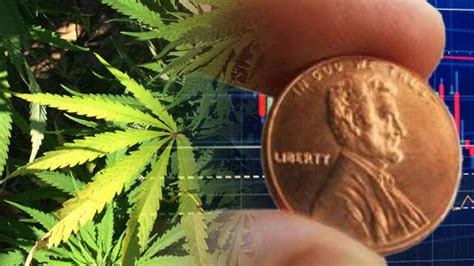 Marijuana Penny Stocks is a list of marijuana stocks and cannabis penny stocks for 2023. These pot penny stocks are all trading on the OTCBB market and trading under $1. The cannabis penny stocks list is updated each day after the market closes. Don't miss any hot penny stock gainers!