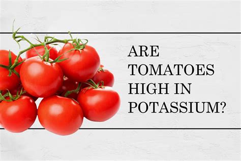 Potassium in tomatoes. Things To Know About Potassium in tomatoes. 