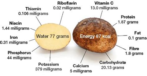 Potatis kcal