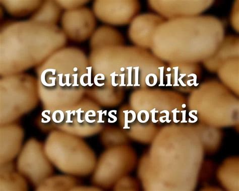 Potatissorter lista