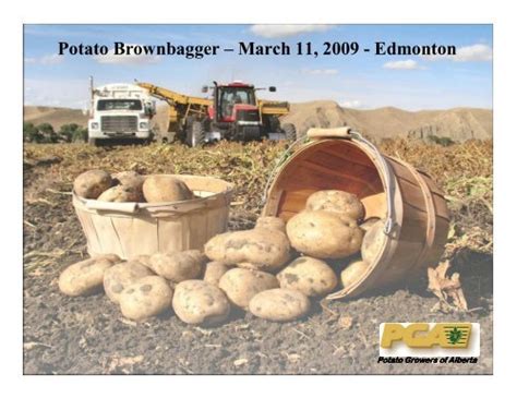 Potato Growers of Alberta celebrate significant growth indicators