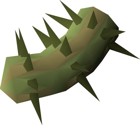Exchange: Potato cactus. From the RuneScape Wiki, th