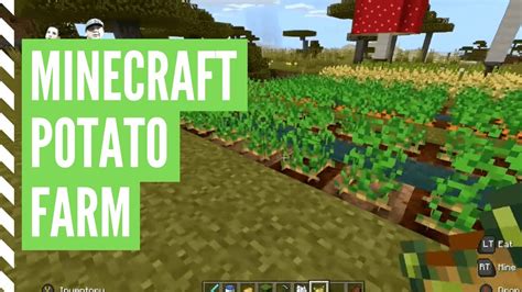 Potatoes in Minecraft
