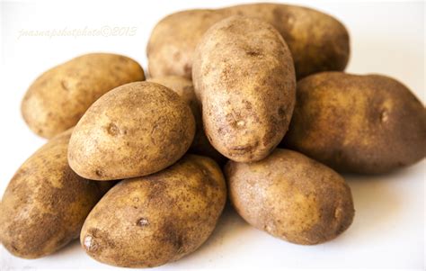 The potato, Solanum jamesii, is native to the American Southwest