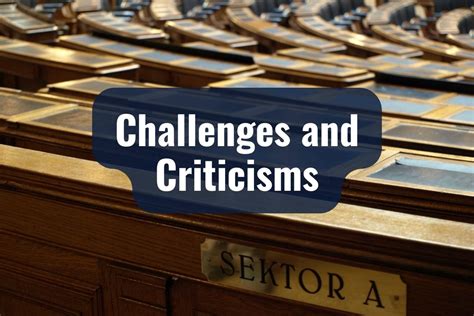 Potential Challenges and Criticisms of the DSA