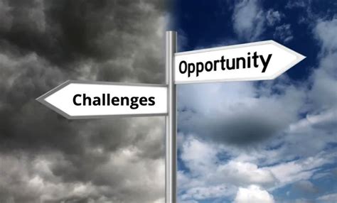 Potential Challenges and Opportunities
