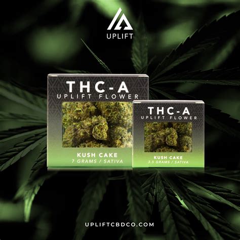 Potential THCA Side Effects What You Need to Know
