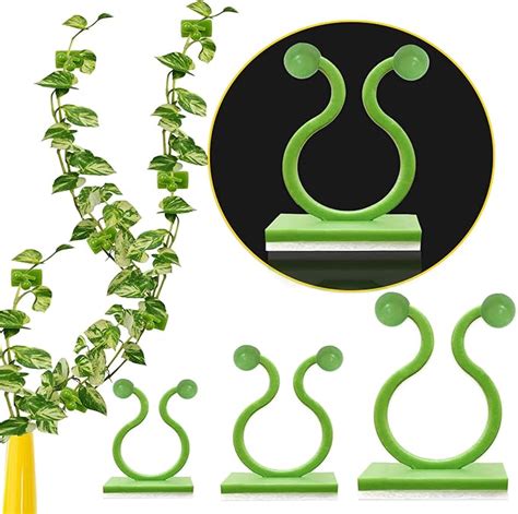 Pothos wall clips.  Made from These plant climbing wall fixture clips are desig...