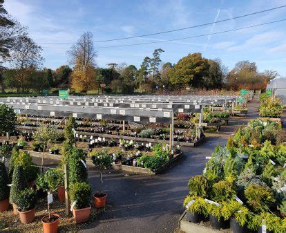 Potted Garden Nursery - Bearsted - Nextdoor