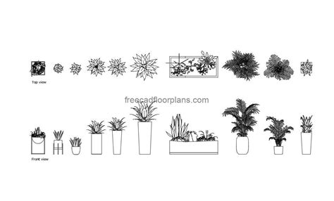 Potted plants cad block top view.  Pots in top view with different types of vegetatio...