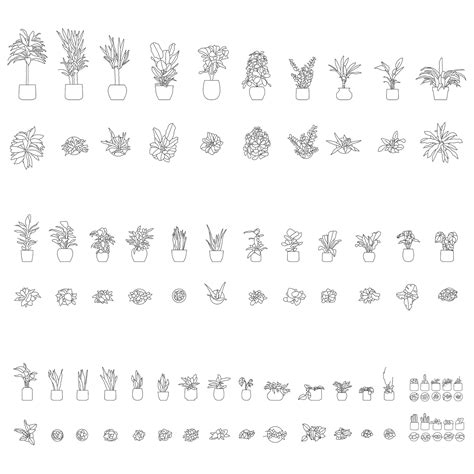 Potted plants dwg.  High-quality DWG models.  CAD Blocks of Potted Plants in Plan a...