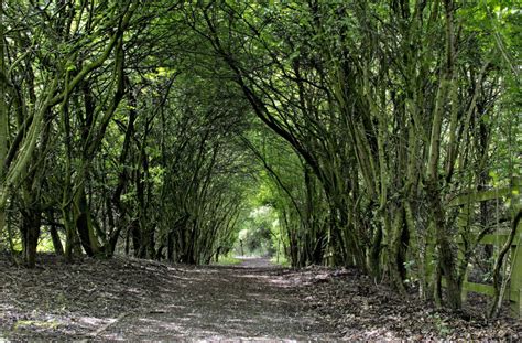 Potteric Carr Nature Reserve