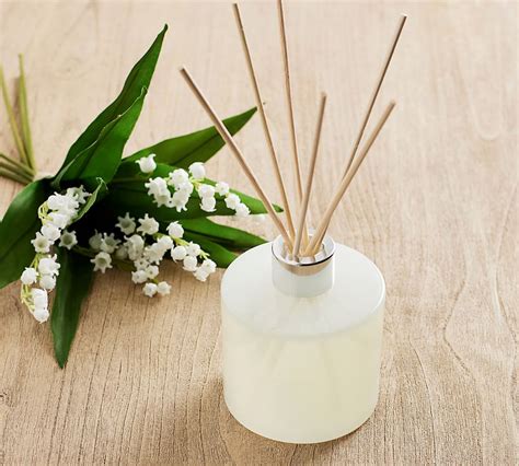 Pottery barn diffuser. Things To Know About Pottery barn diffuser. 