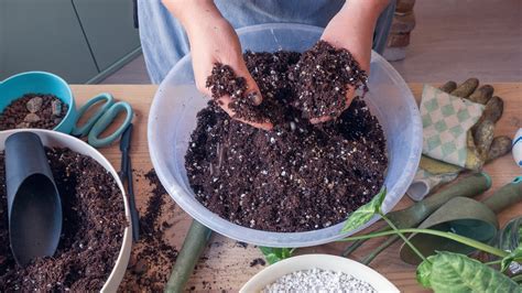 Potting - definition of potting by The Free Dictionary