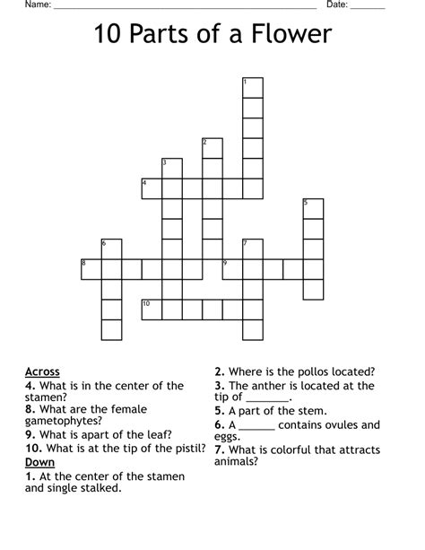 Pouchlike parts crossword clue. Answers for Pouchlike plant part (3) crossword clue, 3 letters. Search for crossword clues found in the Daily Celebrity, NY Times, Daily Mirror, Telegraph and major publications. Find clues for Pouchlike plant part (3) or most any crossword answer or clues for crossword answers. 
