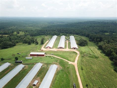 Poultry farm for sale in alabama. Bell Breeder Farm is a 4 house Poultry Breeder Hen Farm for sale in Fyffe Alabama. Located on 28+/- acres along with a 5 bedroom home, Bell Breeder Farm has everything you need to make a living in the poultry business. The 4 houses are all 40×400 with each set of two connected on the front with one central egg storage room per set. 