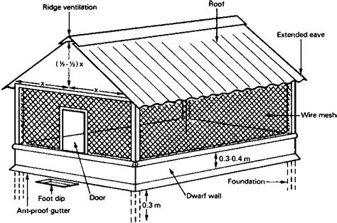 Poultry house plans for 100 chickens.  This article will guide you thr...