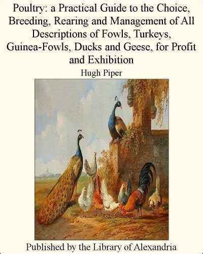Poultry vol 1 a practical guide to the choice breeding rearing and management of all descriptions of fowls. - Miller s godden s nuova guida alla porcellana inglese.