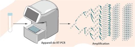 th?q=Pourquoi+la+PCR+en+temps+réel+est+elle+meilleure+que+la+PCR+conventionnelle+