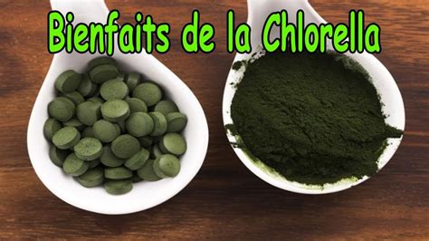 Pourquoi prendre du chlorella ? - Actualité et Culture