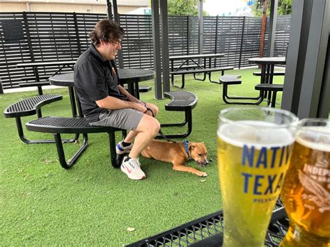 Pours for Pets fundraiser assisting animals in Austin