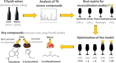 Powdered wine - ScienceDirect