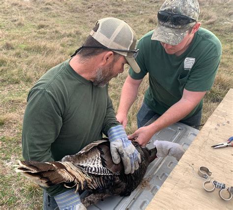 Powderhorn Wildlife Management Area - Facebook