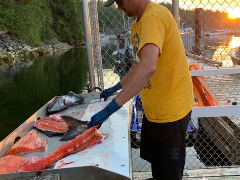 Powell river fishing charters Coho Point