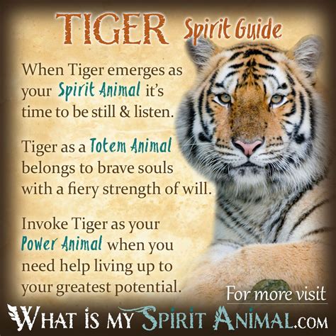 Power animals how to connect with your animal spirit guide. - Blackstones police manual volume 2 evidence and procedure 2010 blackstones police manuals.