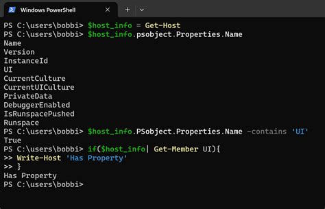 PowerShell How to Check if Object has Specific Property Collecting