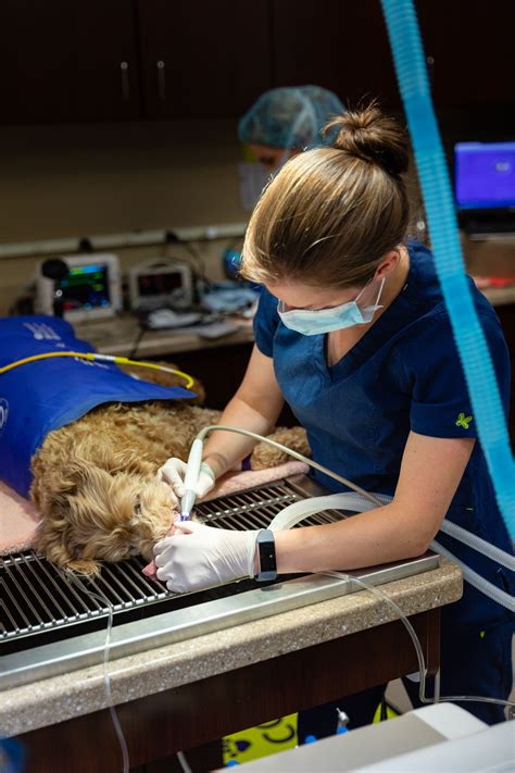Powers ferry animal hospital. Powers Ferry Animal Hospital provides veterinary care. Dr. Scott Miller is a Atlanta Veterinarian, call us today at 770-955-1291!! Javascript must be enabled for the correct page display Powers Ferry Animal Hospital 