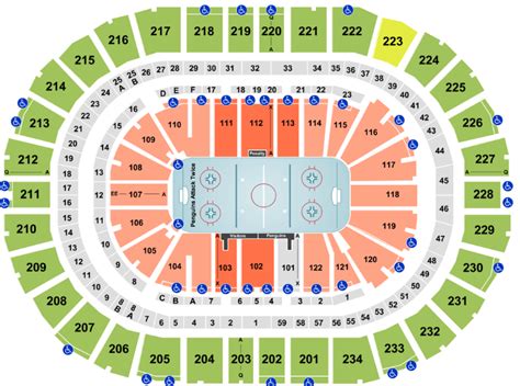 Our interactive PPG Paints Arena seating chart gives fans detailed in
