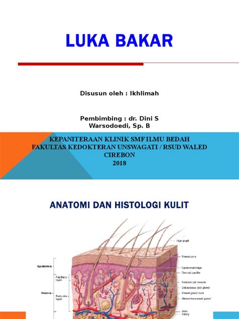 Ppt Luka Bakar [34wpgm3w5jl7] - idoc.pub