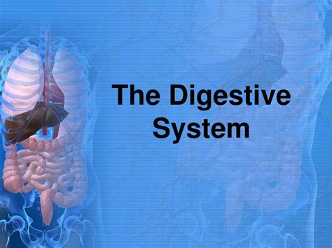 Ppt The Digestive System Powerpoint Presentation Free Download Id 2393574