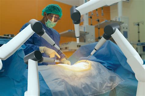 Practical Examples: How Assisterr is Being Used