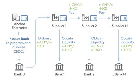 Practical Examples of CBDC Initiatives