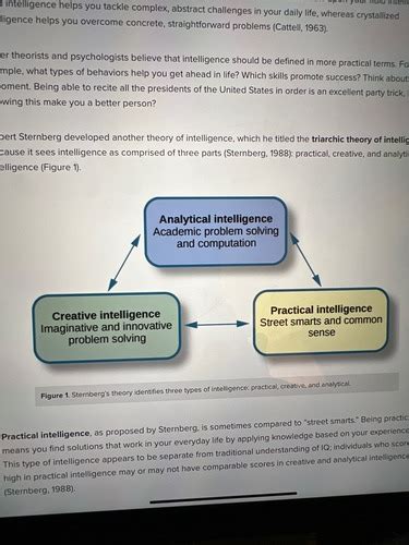 Practical Intelligence Quizlet