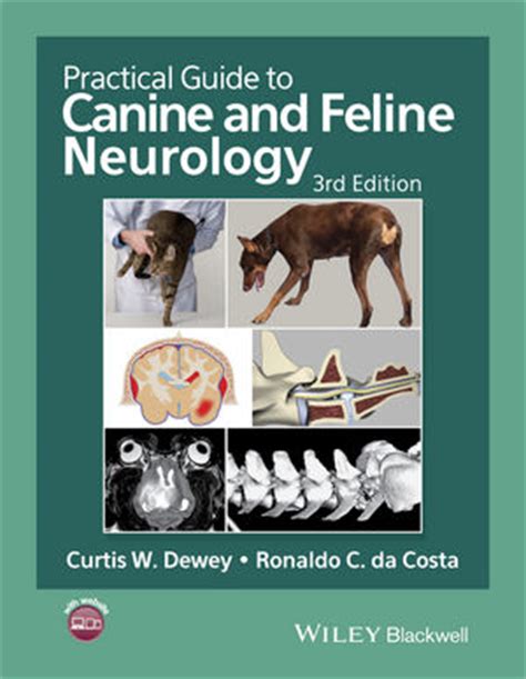 Practical guide to canine and feline neurology by curtis w dewey. - Correction du livre de maths 3eme.