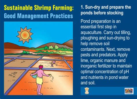 Practical guide to shrimp farming an ecofriendly approach 1st edition. - Owners manual for the 1973 ford f250.