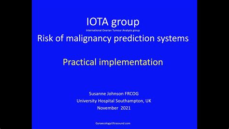 Practical implementation of IOTA risk models for