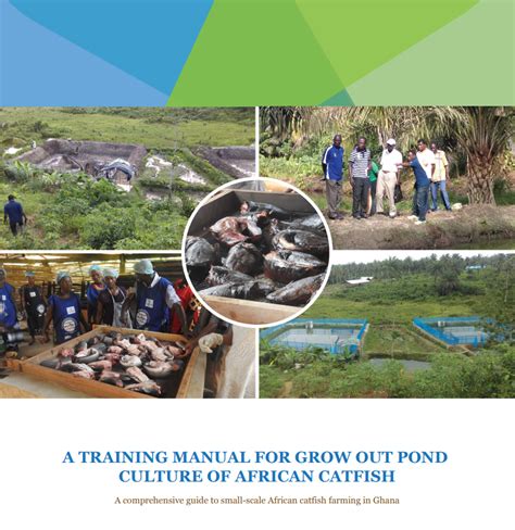 Practical manual for african catfish production. - Operation management 10 e solution manual.