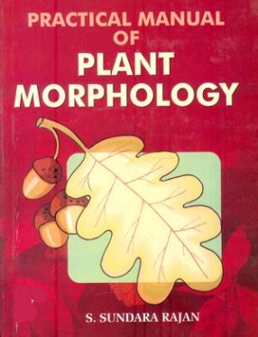 Practical manual of plant morphology algae fungi bryophyta pteridophyta gymnosperms and angiosp. - Relation client bts nrc 1ere et 2eme annees guide pedagogique.