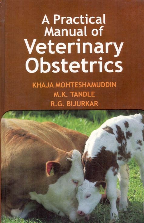 Practical manual of veterinary obstetrics bovine obstetrics. - Peugeot manual for speedfight 2 2015 scooter.