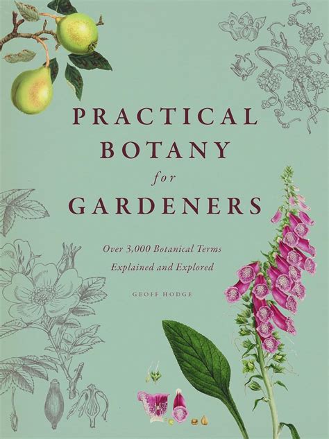 Read Online Practical Botany For Gardeners Over 3000 Botanical Terms Explained And Explored By Geoff Hodge