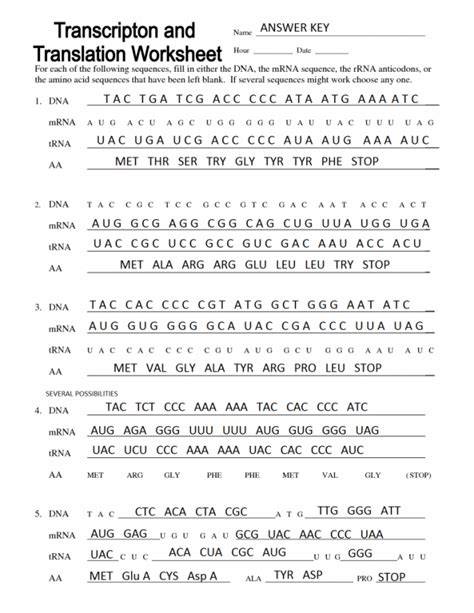 Practicing Dna Transcription And Translation Worksheet Answer Key