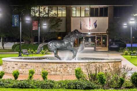 Practicum - University of South Carolina Aiken