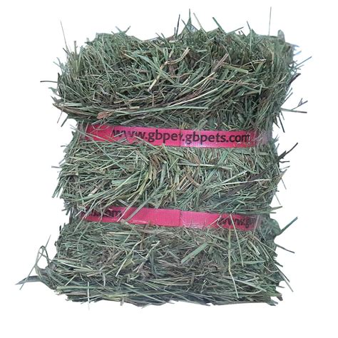 state prefer prairie hay over alfalfa hay. The experiment reported here was designed to compare the per­ formance of calves wintered on ( 1) alfalfa hay alone, ( 2) a mix­ ture of alfalfa hay and prairie hay, ( 3) prairie hay and soybean meal pellets, and ( 4) prairie hay lone. In addition to these compansons,. 